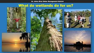 Webinar – Why Worry about Wetlands District Restoration Projects Explained [upl. by Yntruoc]