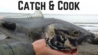 NZ West Coast Surfcasting  Port Waikato River Mouth  Kahawai Catch amp Cook Sashimi [upl. by Callery]