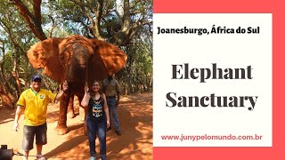 Turismo responsável com elefantes no Elephant Sanctuary em Hartbeespoort dam África do Sul [upl. by Zoubek]