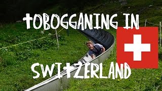 Tobogganing in Switzerland [upl. by Debo]