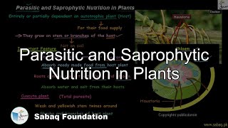 Parasitic and Saprophytic Nutrition in Plants Biology Lecture  Sabaqpk [upl. by Anad]