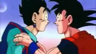 Goku ofrece a videl y a bulma Audio Latino wmv [upl. by Ubald934]