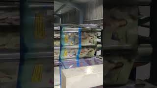 Rotogravure machine 8 colour printing shopping mall [upl. by Zebadiah]