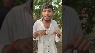 Hame samundar dikh raha hai funny video comedy kky027vlogs youtubeshorts shorts surajrox [upl. by Susanetta]