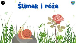 ŚLIMAK i RÓŻA 🐌🌹 słuchowiska dla dzieci audiobook dla dzieci 🎧 [upl. by Candida]