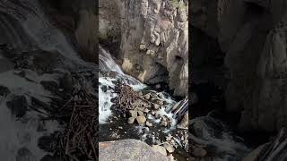 Yellowstone Lower Falls [upl. by Harriot]