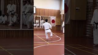 ArimotoSensei demonstrates both jumps in kata Kankusho [upl. by Aldon]