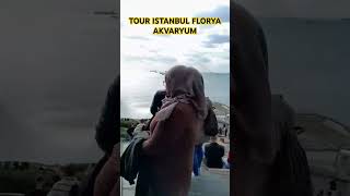 Tour FLORYA AKVARYUM istanbul youtbeshort shortvideo ytshorts zstravellingvlog [upl. by Odelinda229]