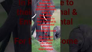 Exploring the Curious World of Animal Behavior shorts youtubeshorts mscviral ytshortstrending [upl. by Karp333]