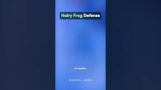 Hairy Frog Defense [upl. by Vasya]