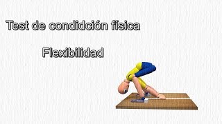 TEST DE FLEXIBILIDAD  FLEXIÓN PROFUNDA [upl. by Halladba]