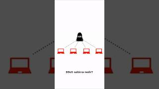 DDoS saldırısı nedir [upl. by Enoj]