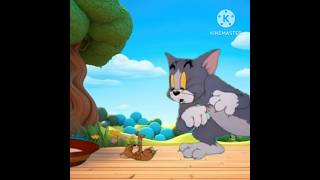 Tom and Jerry drinking milk  tom and jerry cartoon  youtubeshorts animation shorts [upl. by Briscoe]