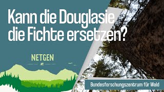 Kann die Douglasie die Fichte ersetzen [upl. by Harat874]