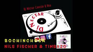 Bochinchosa Nils Fischer amp Timbazo HD 720p [upl. by Timothee]