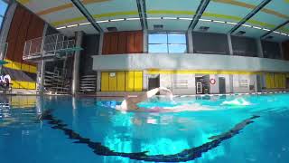 Best Freestyle and Backstroke drills for rapid speed development Tutorial for Athletes and Coaches [upl. by Dnartreb]