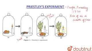 PRIESTLEY�S EXPERIMENT [upl. by Hurless]