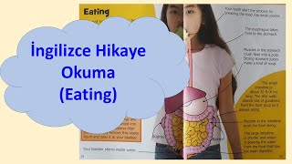 A1A2 İngilizce En Hızlı Nasıl Öğrenilir BAŞLANGIÇ SEVİYE A1A2 İngilizce Hikaye Okuma Eating [upl. by Hsina]