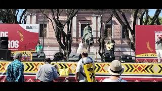 Vidala de la copla  Conexión Tierra en la Feria de Mataderos [upl. by Ugo]