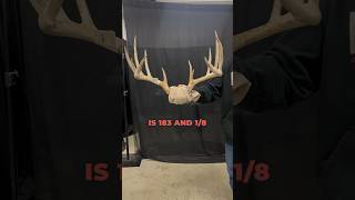 David’s Biggest Deer To Date 183” Monster deerhunting hunting bowhunting whitetaildeer shorts [upl. by Kaenel]