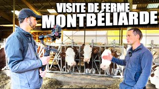 VISITE DUNE FERME LAITIERE🤠  EN CHARTREUSE  VACHE MONTBELIARDE🐄 [upl. by Terese]