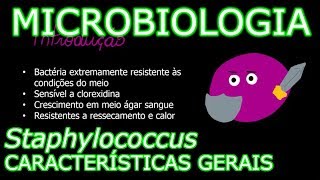 Aula Microbiologia Médica 7  Staphylococcus Características gerais [upl. by Ihcas]