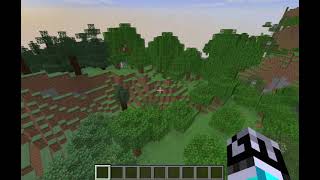 Minecraft 116 Speedrun In 2156  Random Seed Glitchless Any [upl. by Primalia]