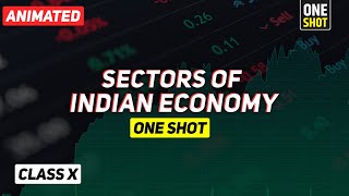 Sectors of Indian Economy class 10 full chapter Animation  Class 10 Economics Chapter 2 CBSE [upl. by Brooks]