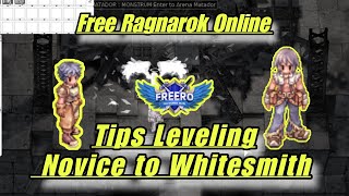 Tips Leveling From Novice to Whitesmith  Ragnarok Pre Renewal  Free Ragnarok Online [upl. by Bennion]