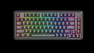 Redragon launches M82 series gaming keyboards with 8KHz polling Gasket RGB lighting amp more [upl. by Ilojne]