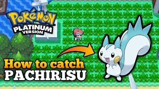 How To Catch Pachirisu In Pokemon Platinum  Pachirisu Location [upl. by Anilatsyrc441]