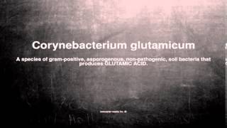 Medical vocabulary What does Corynebacterium glutamicum mean [upl. by Hallagan]