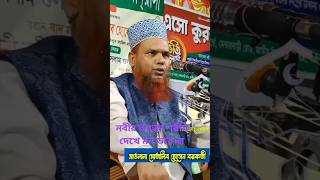 নবীর রওজা শরীফ দেখে মন ভরে না। Islamicshortsong ইসলামিকভিডিও শর্টগজল tahsinislamicmedia [upl. by Reinal206]