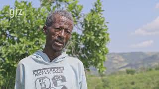 Naturebased Solutions in Ethiopia Restoring nature to protect people [upl. by Pepe]