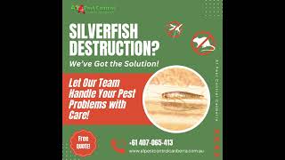 Silverfish Destruction We’ve Got the Solution [upl. by Desdee]