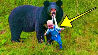 Il Orso si Rifiuta di Lasciare il Bambino e Tutti Iniziano a Piangere Quando Scoprono il Motivo [upl. by Eelarbed]