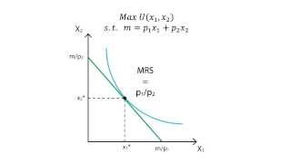 A6 Utility maximisation  Consumption  Microeconomics [upl. by Albert]