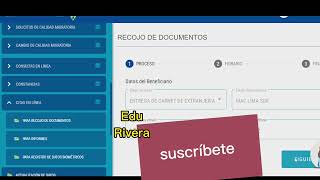 Citas de recoger carnet Migraciones Perú problemas y soluciones [upl. by Luapnhoj996]