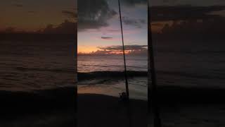 Fishing sunrise at Cocoa Beach Conditions are ideal and theres bait in the surf tight lines [upl. by Azer]