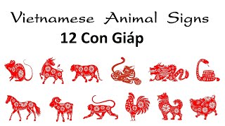 Từ Vựng Tiếng Anh Về 12 Con Giáp  12 Vietnamese Animal Signs [upl. by Kery]