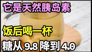 82岁老人血糖从98降到40！它是天然胰岛素，饭后一杯，血糖立马往下掉，从此告別糖尿病【本草养生大智慧】 [upl. by Pen]