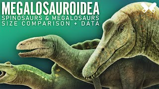 SPINOSAURS and other MEGALOSAUROIDS  Dinosaurs size comparison and data [upl. by Kcirrem]