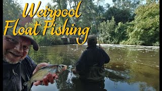 Float Fishing  Weir Pool Magic Video 262 [upl. by Slen233]