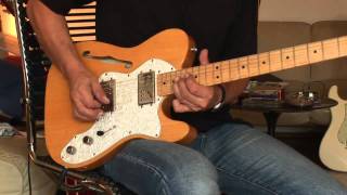 Fender Telecaster Thinline Mexico [upl. by Heiskell]