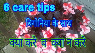 1816 Care tips for begonia Do amp Dont बिगोनिया HindiUrdu [upl. by Selda290]