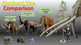 Elephants size comparison I Mammoths Size Comparison [upl. by Reg]