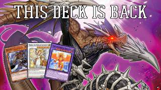 Meta Contending Zombie Lightsworn Deck Profile [upl. by Pillihp38]