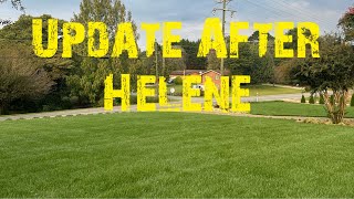 Lawn Update After Hurricane [upl. by Milurd]