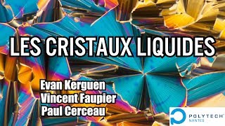 Les Cristaux Liquides [upl. by Wiese]