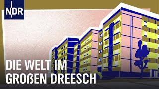 Leben im Hochhaus  Dreesch 1  3  Doku  NDR Story [upl. by Jobyna]